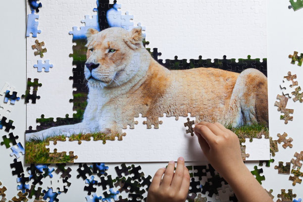 狮子拼图图片下载