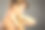 患有颈部疼痛的女性图片下载