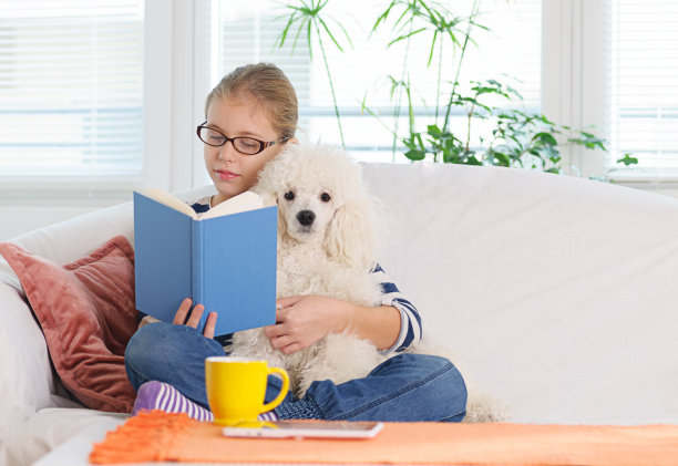 女孩的狗图片下载