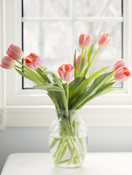 窗外一束郁金香图片下载