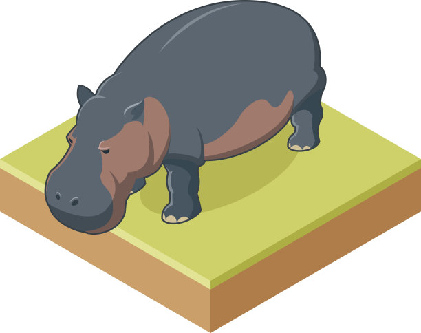 河马等距icon2图片下载