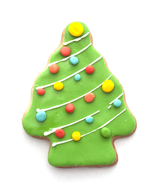 姜饼树图片下载