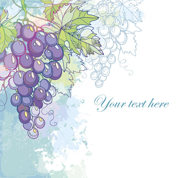 矢量卡与一束葡萄和树叶在蜡笔图片下载
