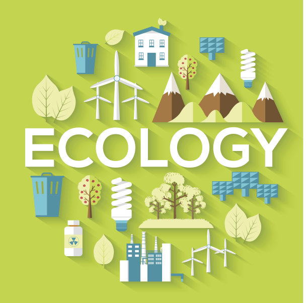 生态圈信息图模板概念图片下载