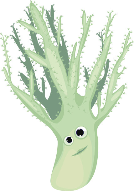 手指皮珊瑚(sinularia flexible)图片下载