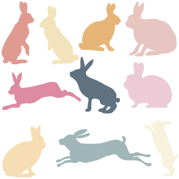 兔子的轮廓在白色的背景，矢量插图。图片下载