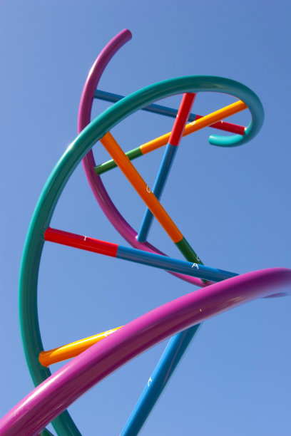 加利福尼亚州圣地亚哥的 DNA 雕塑图片下载