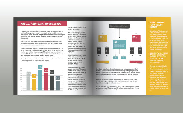 手册页。杂志布局的信息图。网页模板。图片下载