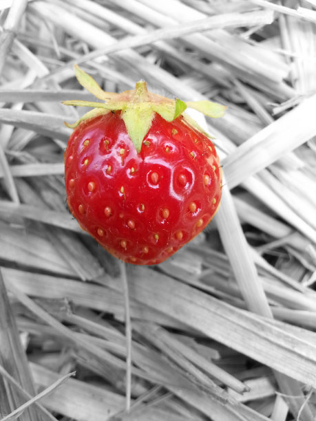 埃尔德贝尔图片下载