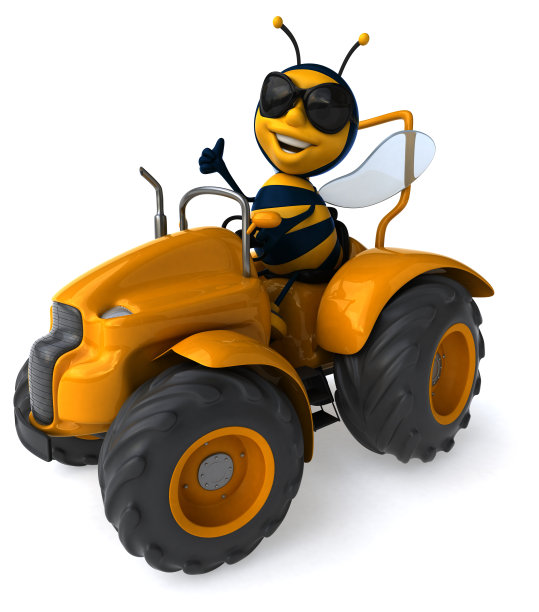 有趣的蜜蜂图片下载