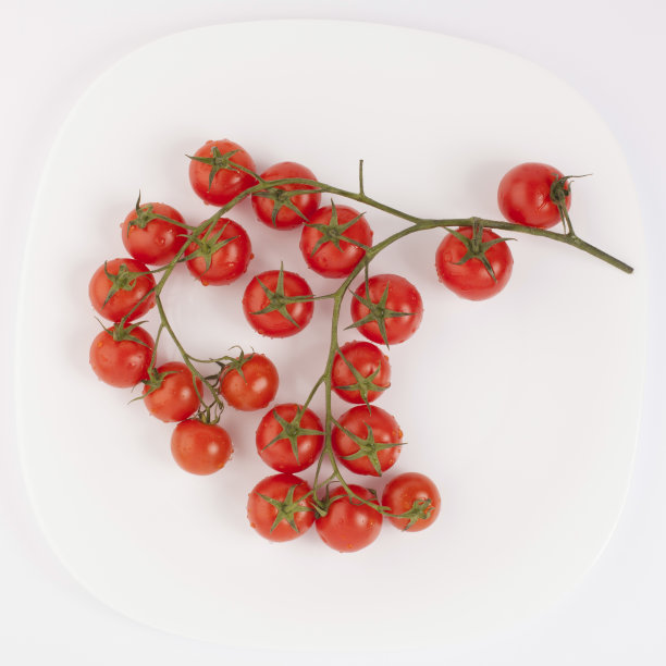 樱桃番茄图片下载