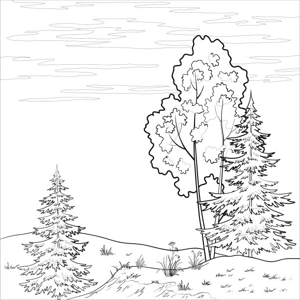 景观。森林河流,大纲素材图片