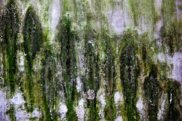 中国苏州的拙政园图片下载