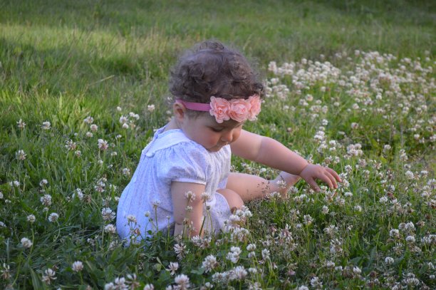 可爱的小女孩在后院摘花图片下载