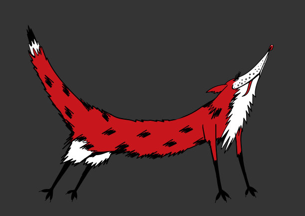 灰色背景上的狐狸图片下载