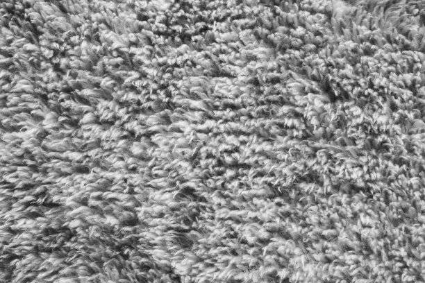 灰色的皮毛图片下载