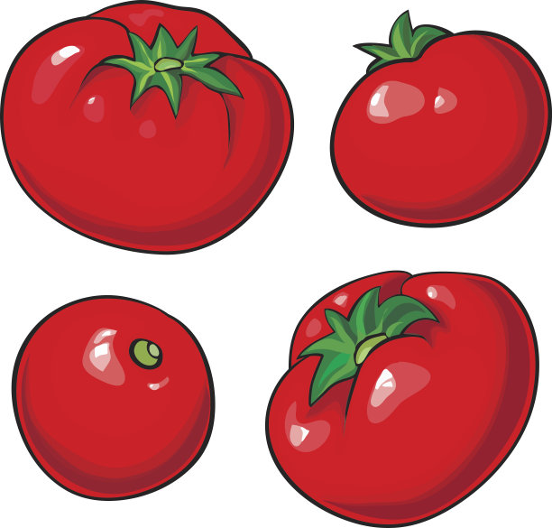 向量番茄图片下载