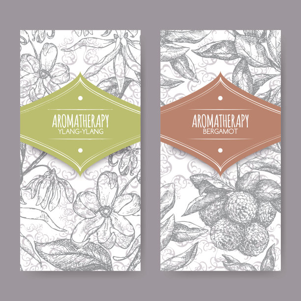 一套2标签依兰依兰和佛手柑橙素描图片下载