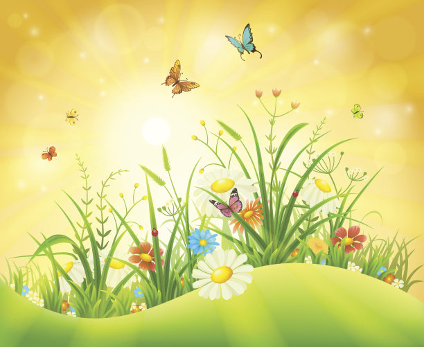 夏天自然背景图片下载