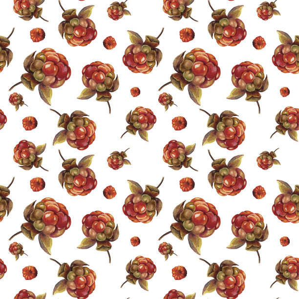 水彩贝瑞模式图片下载