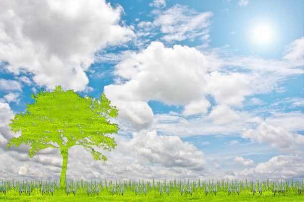 绿树自然从草白色的背景。图片下载