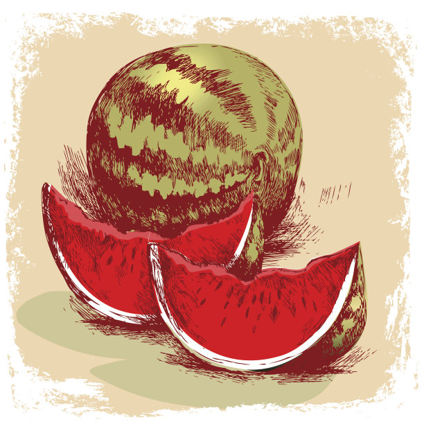西瓜手绘与垃圾画框图片下载