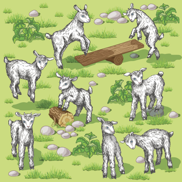 小山羊图片下载