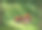 房屋插画素材ID：128190610
