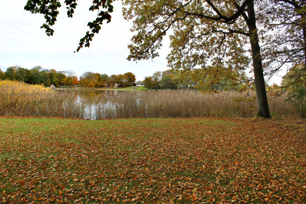 色彩斑斓的秋天图片下载