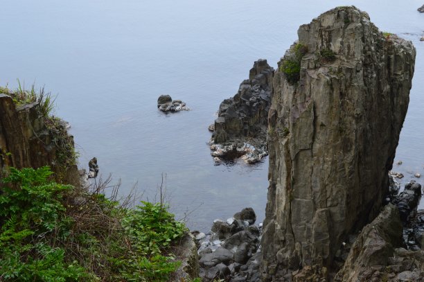 托金博图片下载