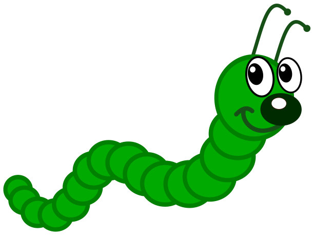 绿色的毛毛虫图片下载