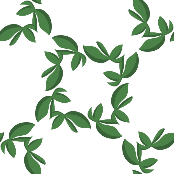 孤立的树叶图案图片下载