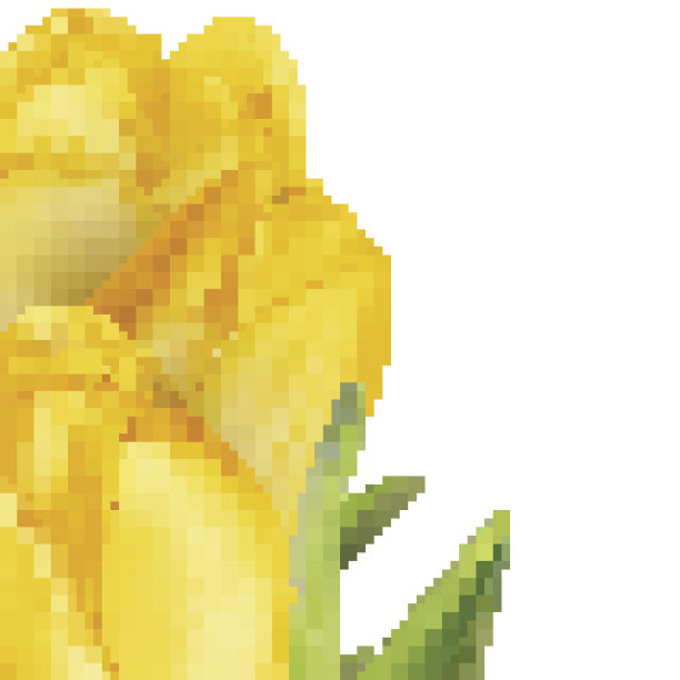 郁金香装饰背景。每股收益10图片下载