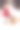 小女孩和狗在冬季公园图片下载