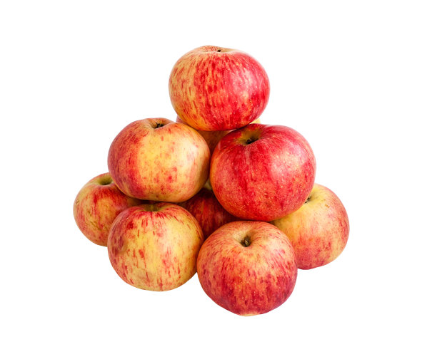 成熟的夏季红苹果图片下载