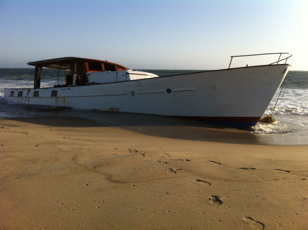 被冲上岸图片下载