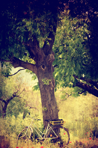 辆旧自行车图片下载