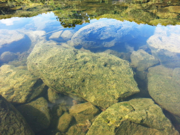 水浸石图片下载