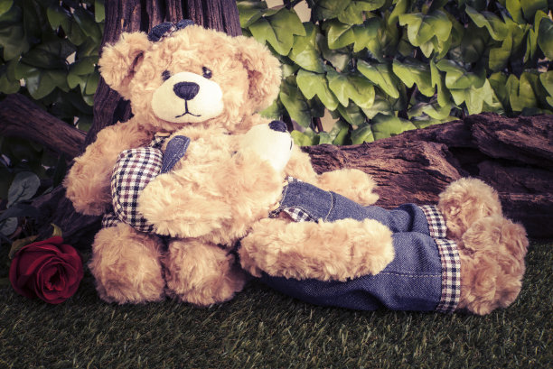 花园里拿着玫瑰的情侣泰迪熊图片下载