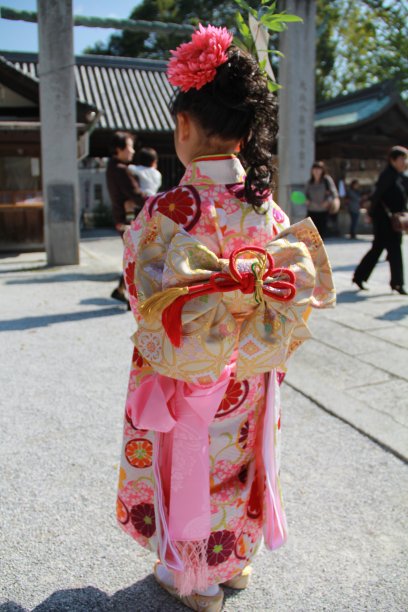 七百五十三节图片下载