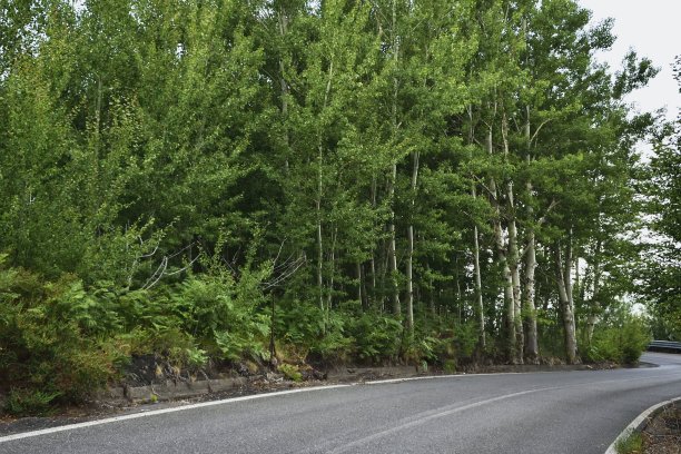 山的路图片下载