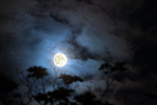 月亮和云彩的森林剪影图片下载