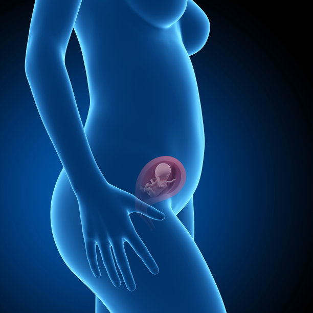 胎儿- 19周图片下载