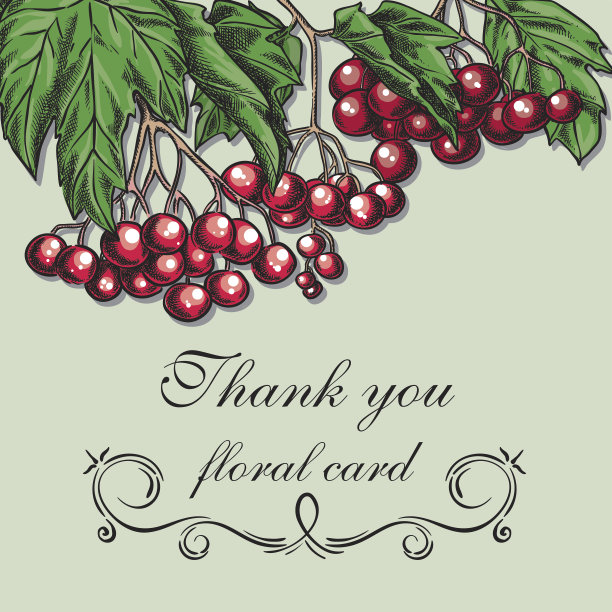 荚枝与浆果卡图片下载