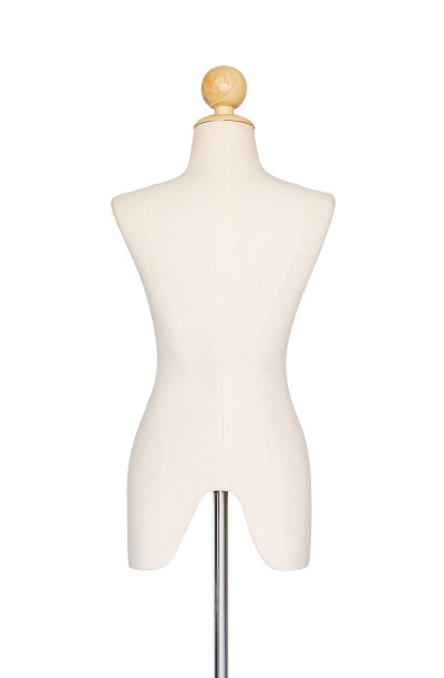 背部人体模型图片下载