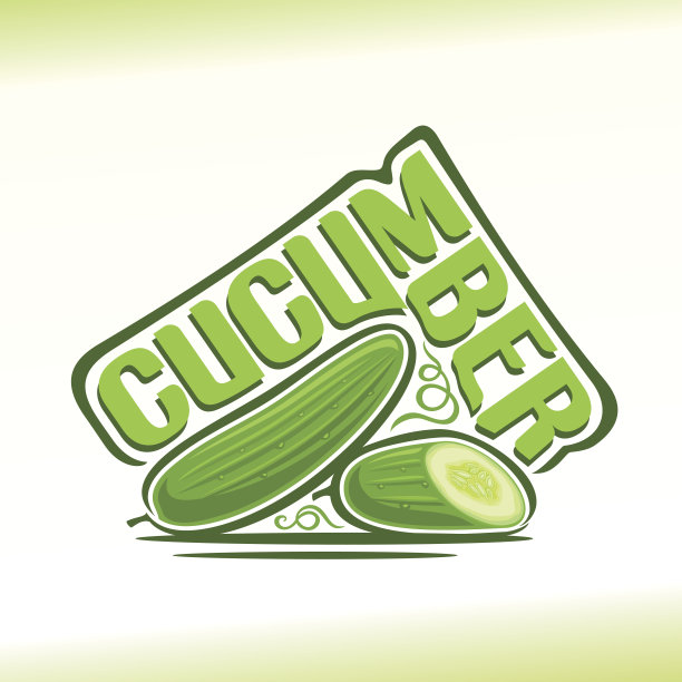 以黄瓜为主题的矢量插画图片下载