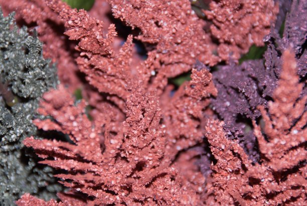 彩色的背景图片下载