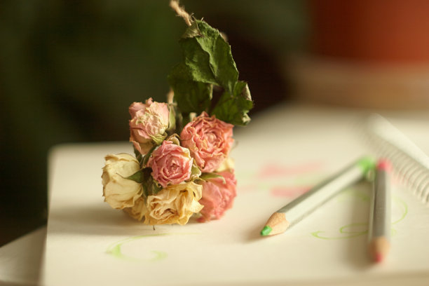 温柔的小花儿图片下载