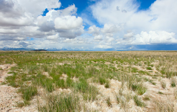 沙漠毫无生气的地方图片下载