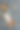 自制巧克力蛋糕，咖啡和核桃。图片下载